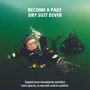PADI Drysuit Diver Poster