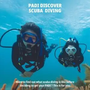 PADI DSD Poster