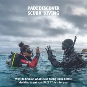 PADI DSD Poster