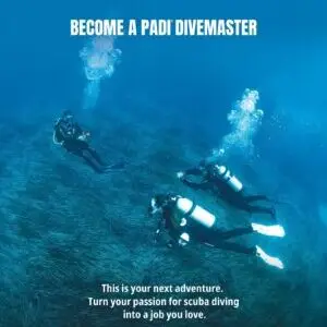 PADI Divemaster