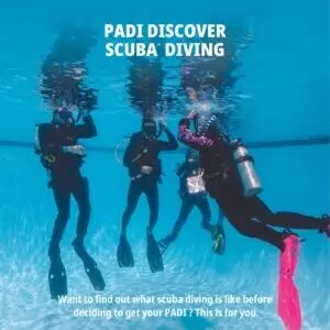 PADI DSD Poster