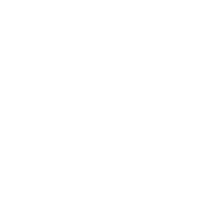 EFR Logo